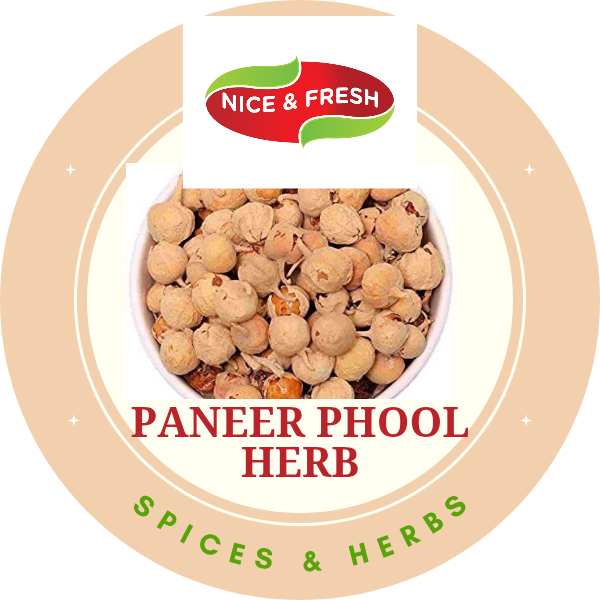 Nice & Fresh Paneer Phool | Paneer dodi. 1 kg