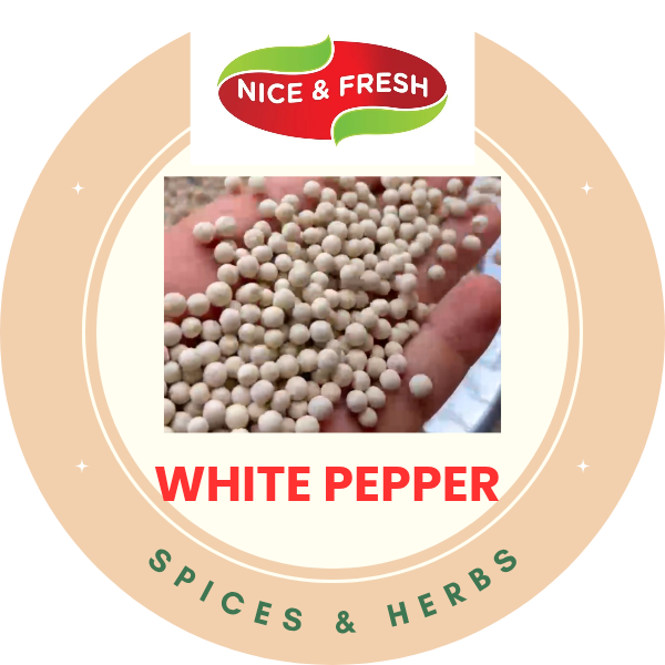 Nice & Fresh White Pepper - 100g